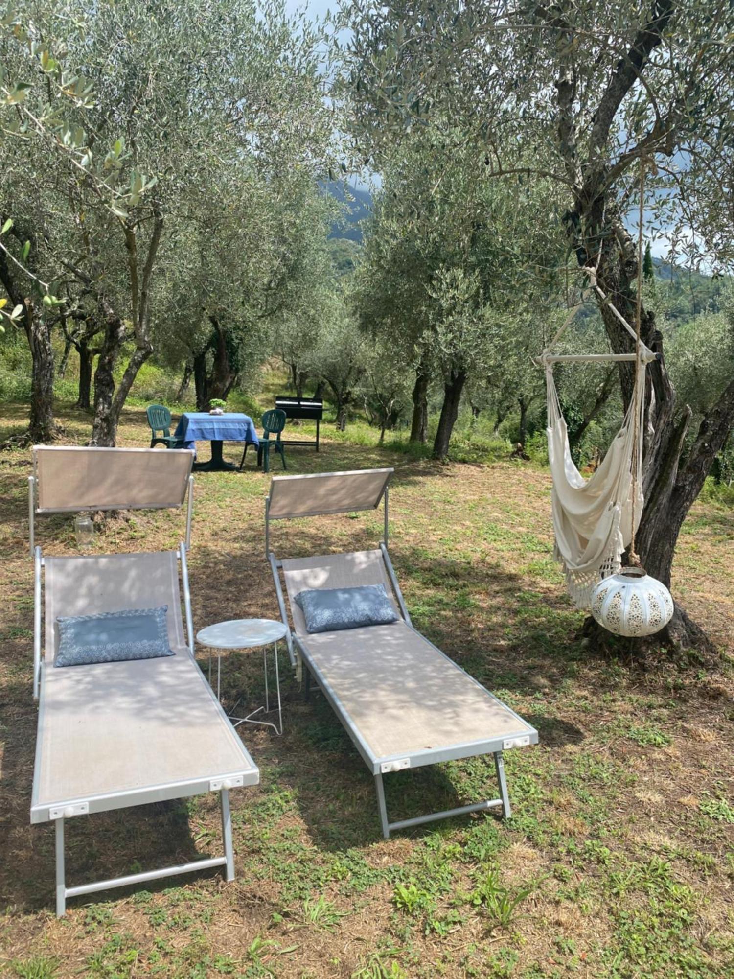 Sotto Il Cielo Di Toscana Appartamenti In Tenuta Only Adults No Pet كامايوري المظهر الخارجي الصورة
